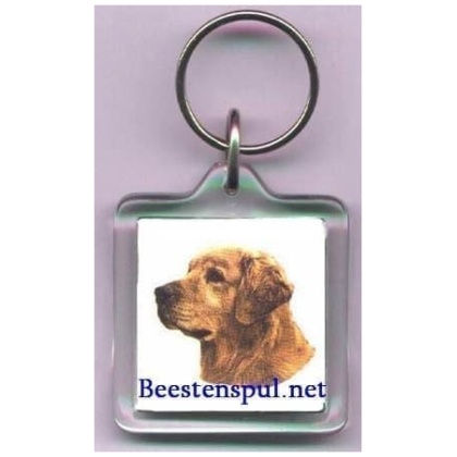 Golden Retriever sleutelhanger 1