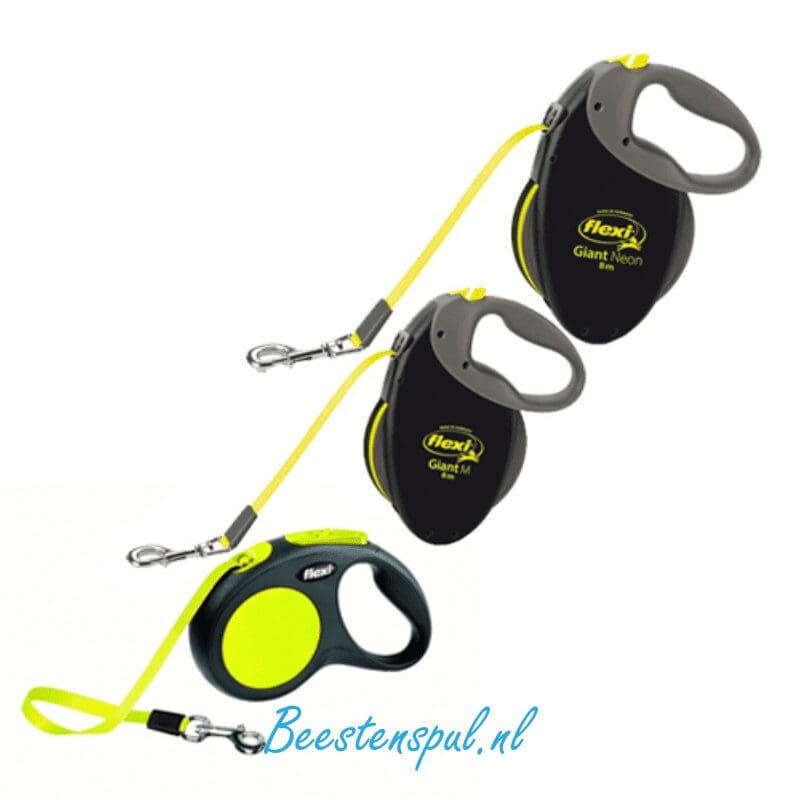 Flexi - Neon 1 Flexi - Neon
