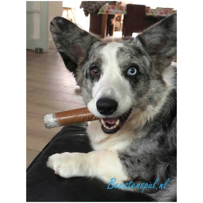 Beeztees - Latex - Sigaar