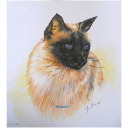 Prent Siamees/Birmees (getekend)