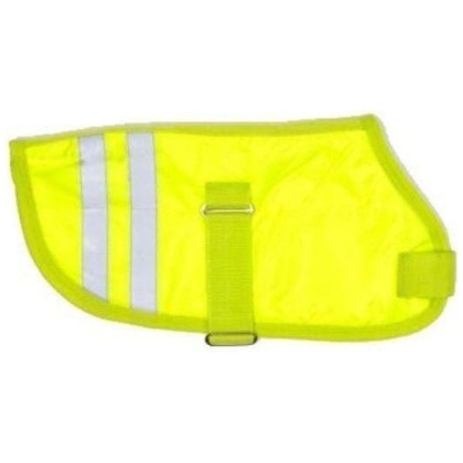 Hondenjas - Teddie (reflecterend)