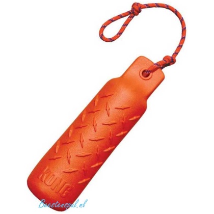 Kong - Training Dummy