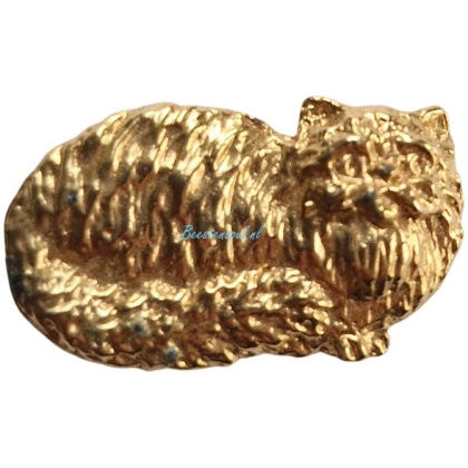 Pinbroche - Kat - 2