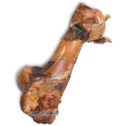 Knokkelbeen/Dinobot - Rund