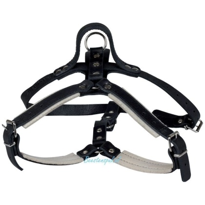 Gappay - Speur-/Juttuig met Handvat