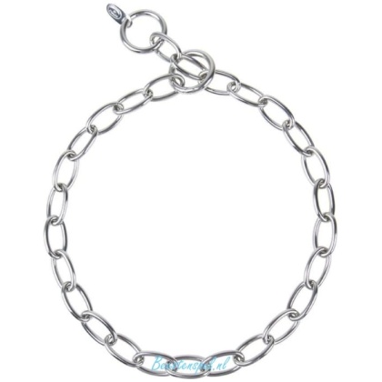 Slipketting -  RVS - Ovale Kleine Schakel