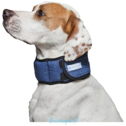 Aqua Coolkeeper - Koelhalsband