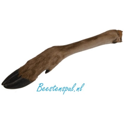 Hertenpoot