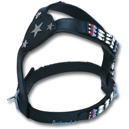 Doxtasy - Tuig - Cheyenne Star in the Sky