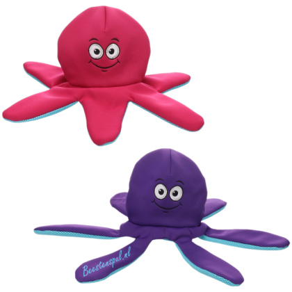 Flamingo - Octopus Fronne